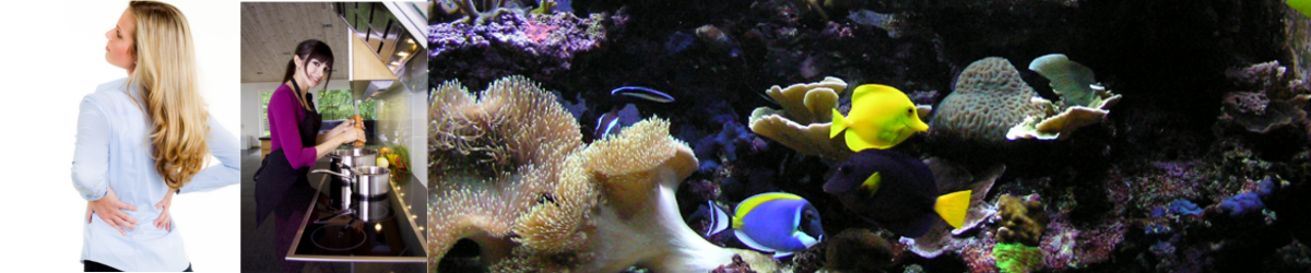 Drei aneinander Hängende Bilder. Eine Frau hat Muskelschmerzen am Rücken. Eine Frau steht in der Küche und Kocht mit einem Topf. Ein Seewasseraquarium in dem Doktor Fische und Seeanemonen zu sehen sind