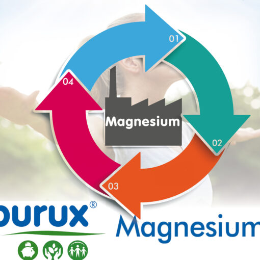 Prux Magnesium Herstellung